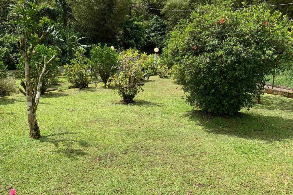 972B-Coin De Verdure Au Pied De La Montagne Pelee Le Morne-Rouge Εξωτερικό φωτογραφία
